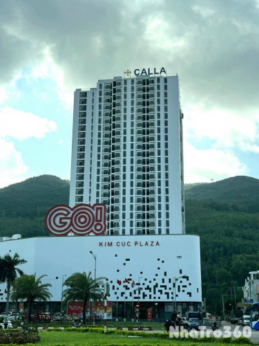 Cho thuê chung cư The Calla (Calla Apartment) - căn trực diện biển 2PN