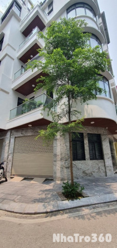 Nhà đẹp mới, chủ nhà cho thuê, 128m2_ 4T; 33 Tr. Kinh doanh, VP. Xã Đàn