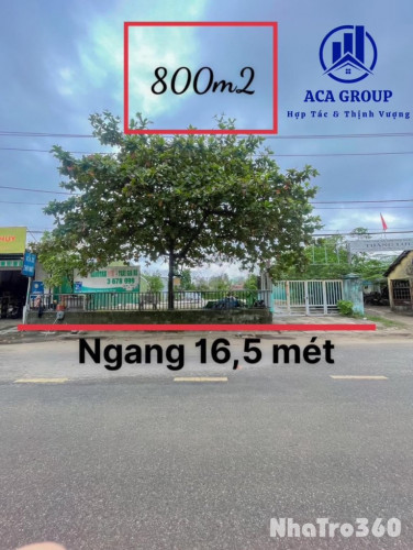 Cho Thuê 800m2 Đất Trống Đường Bùi Thị Xuân Gần chợ Phường Đúc