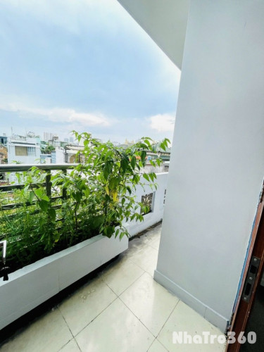 Căn 1PN Balcon Lớn Lạc Long Quân Gần Bảy Hiền