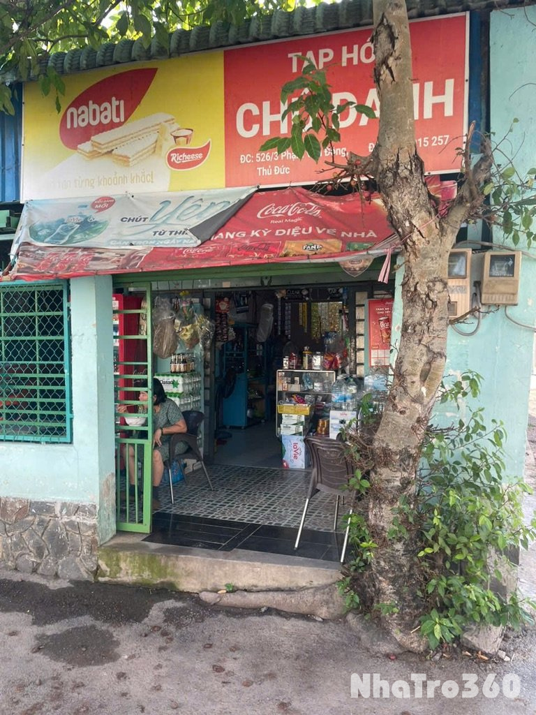 Cho thuê quan tạp hóa