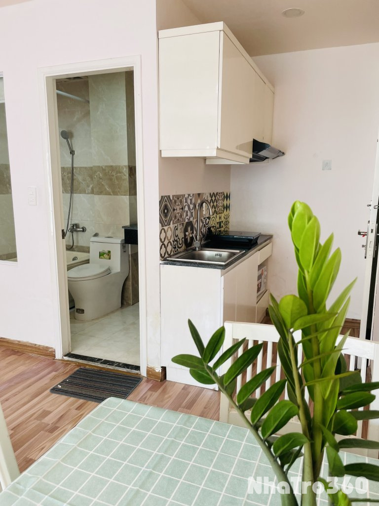 🏡 Cho thuê căn hộ 1PN, Q1, Đường Đinh Công Tráng, gần Chợ Tân Định, Công Viên Lê Văn Tám