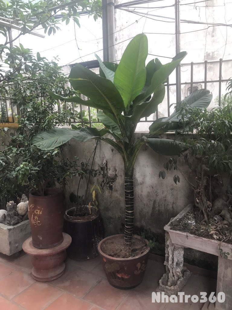 Cho thuê phòng trọ giá rẻ.