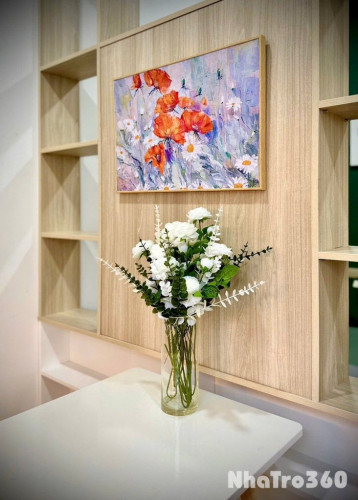 Cho thuê studio full nội thất cửa sổ trời Tân Bình