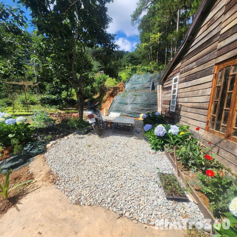 CHO THUÊ HOMESTAY TRẦN THÁI TÔNG PHƯỜNG 9  – ĐÀ LẠT