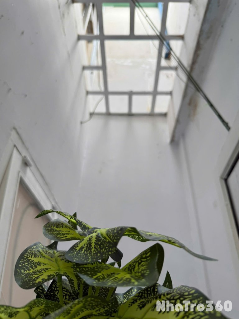 🌿 Căn hộ 1PN tách bếp – Full nội thất – Cửa sổ giếng trời – Gần Cộng Hòa & Etown