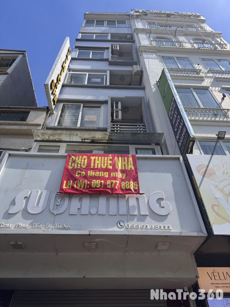 CHO THUÊ NHÀ 7 TẦNG MẶT PHỐ TRUNG PHỤNG - ĐỐNG ĐA - HÀ NỘI