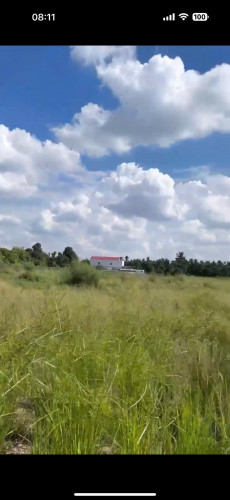 CHO THUÊ MT BÙI CÔNG TRỪNG (21.000M²) CHỈ 100 TRIỆU/THÁNG