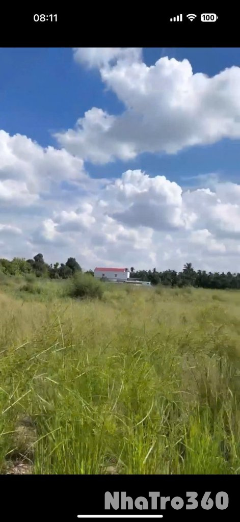 CHO THUÊ MT BÙI CÔNG TRỪNG (21.000M²) CHỈ 100 TRIỆU/THÁNG