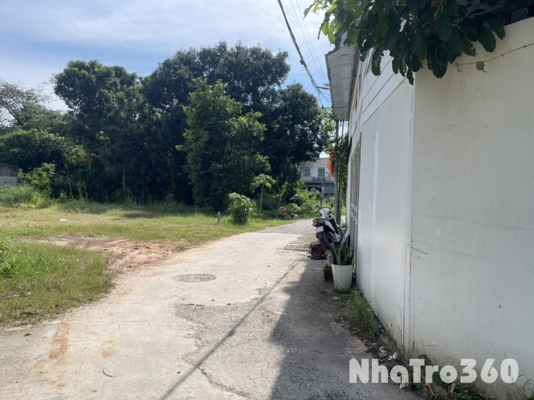 Cho thuê Căn hộ Mini