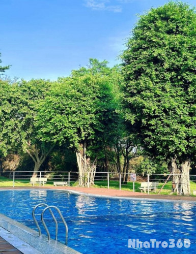 SHARE PHÒNG CHUNG CƯ DREAMHOME LUXURY – GÒ VẤP 🌇