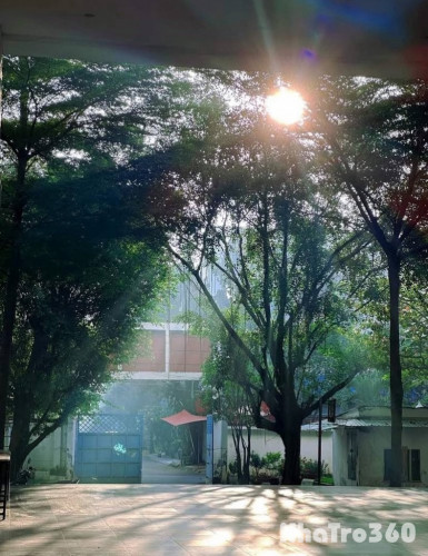 SHARE PHÒNG CHUNG CƯ DREAMHOME LUXURY – GÒ VẤP 🌇