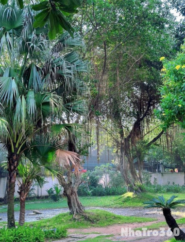 SHARE PHÒNG CHUNG CƯ DREAMHOME LUXURY – GÒ VẤP 🌇