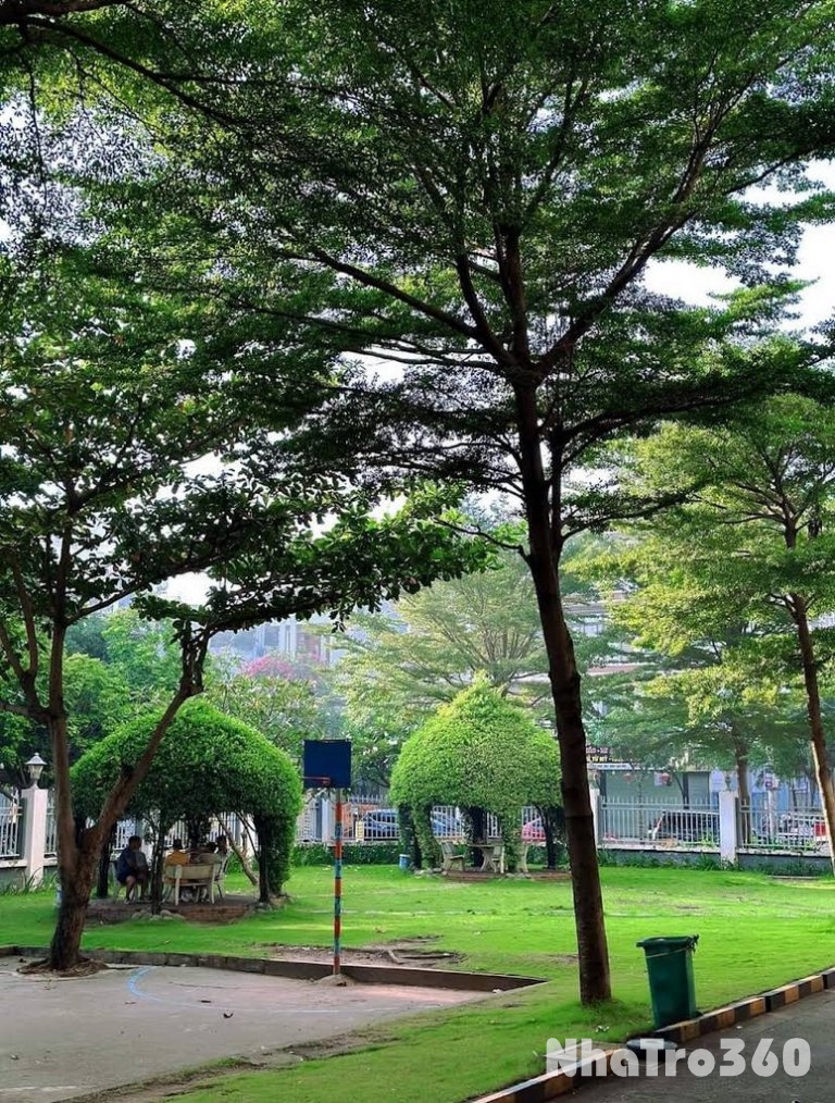 SHARE PHÒNG CHUNG CƯ DREAMHOME LUXURY – GÒ VẤP 🌇