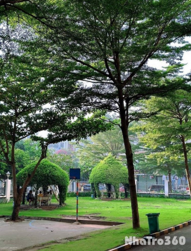 SHARE PHÒNG CHUNG CƯ DREAMHOME LUXURY – GÒ VẤP 🌇