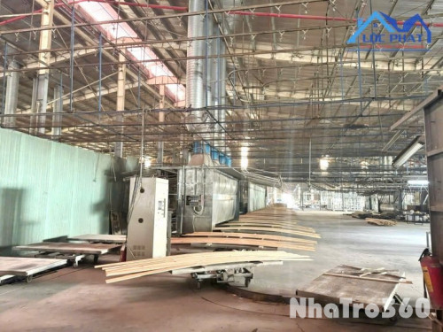Cho thuê xưởng gỗ 5000m2 có chuyền sơn P Tam Phước, Đồng Nai giá 3,5usd/m2