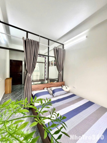 Khai Trương Căn Hộ Cao Cấp