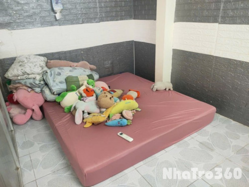 Cho Thuê nhà nguyên Căn