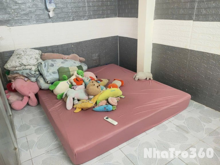 Cho Thuê nhà nguyên Căn