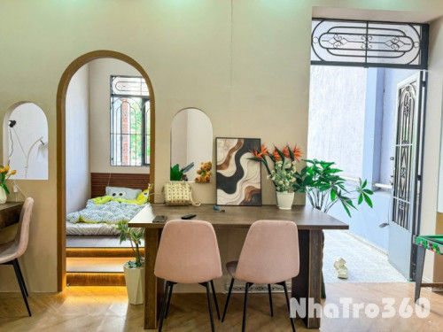 Ngay cầu vượt cây gõ hồng bàng