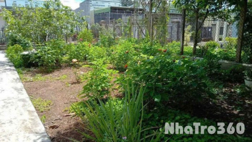 CHO THUÊ ĐẤT THỔ CƯ 5 NĂM TẠI ĐƯỜNG HOÀNG QUỐC VIỆT, LIÊN NGHĨA, ĐỨC TRỌNG, LÂM ĐỒNG