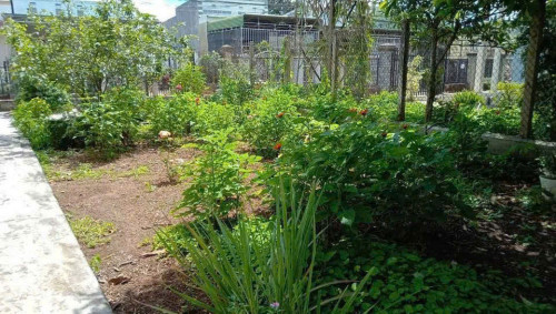 CHO THUÊ ĐẤT THỔ CƯ 5 NĂM TẠI ĐƯỜNG HOÀNG QUỐC VIỆT, LIÊN NGHĨA, ĐỨC TRỌNG, LÂM ĐỒNG