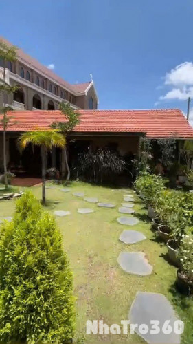 Cho thuê Villa sân vườn Phường 5 Đà Lạt giá 22tr