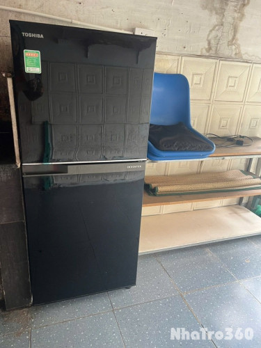 Cho thuê căn hộ ở Phố Dịch Vọng