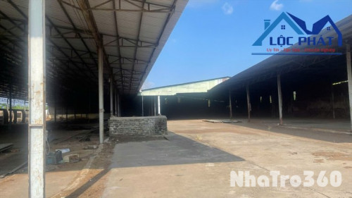 Cho thuê xưởng 5500m2 xã Quang Trung, huyện Thống Nhất Đồng Nai 150tr