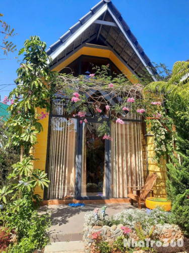 CHO THUÊ HOMESTAY 5 CĂN BUNGALOW FULL NỘI THẤT ĐƯỜNG Ô TÔ TRẠNG TRÌNH
