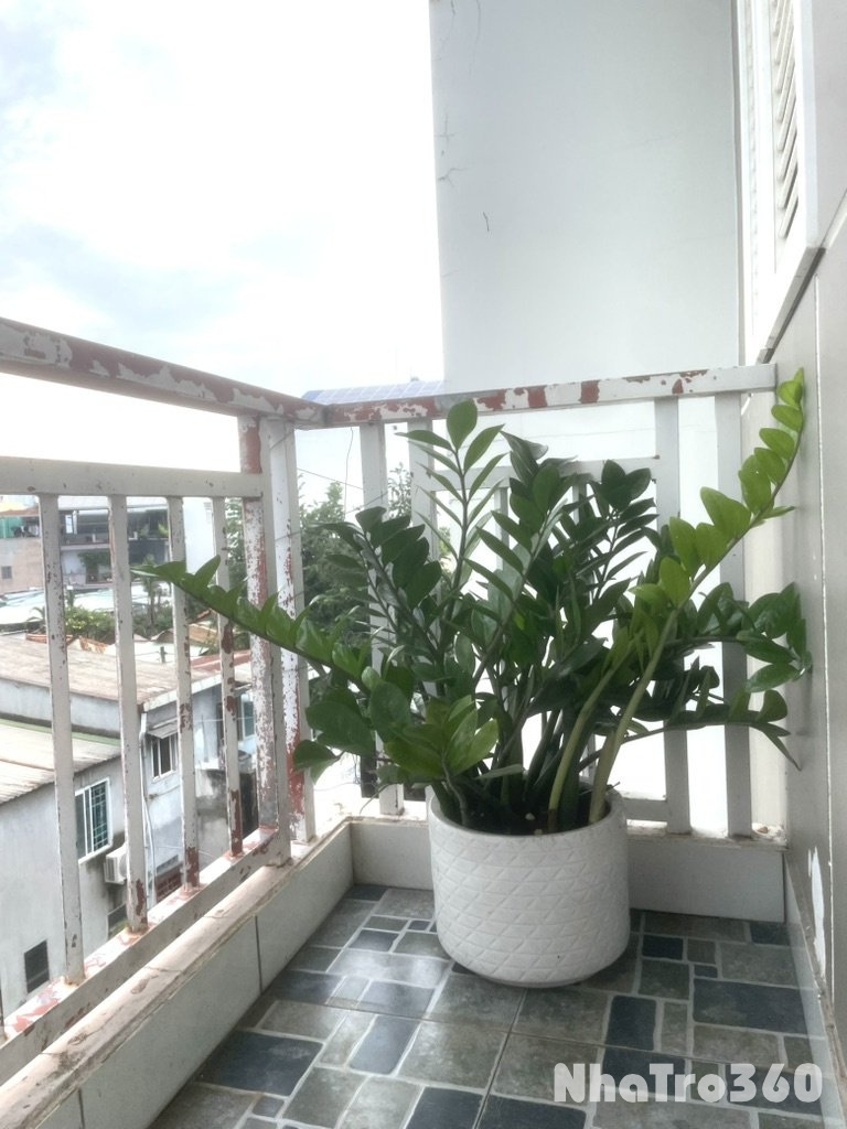 Căn hộ mini 1PN - Full nội thất, có ban công - Q2