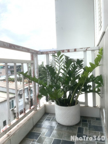 Căn hộ mini 1PN - Full nội thất, có ban công - Q2
