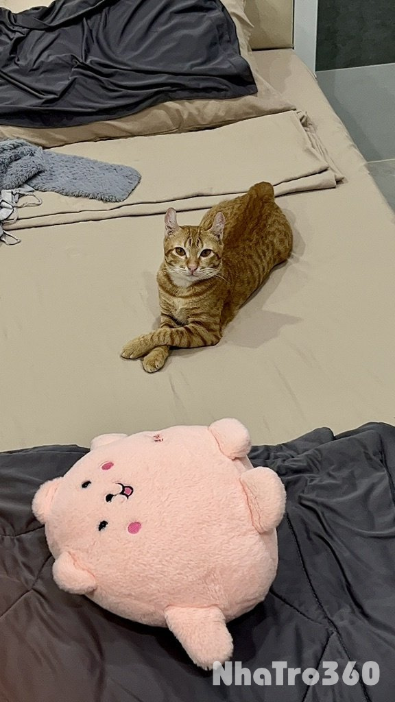 Tổng phí 2tr5< 1 người nha