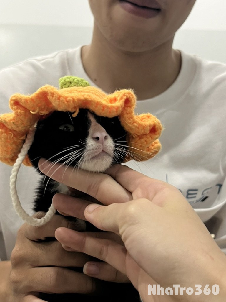 Tổng phí 2tr5< 1 người nha