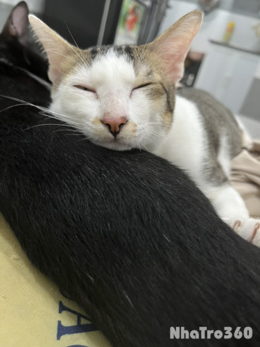 Tổng phí 2tr5< 1 người nha