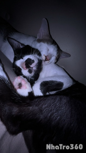 Tổng phí 2tr5< 1 người nha