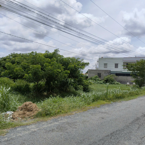 Giá Tốt: Cho Thuê Đất Ruộng 5.400m2 ( 60x90m) Mặt Tiền Huỳnh Châu Sổ, P.6, Tp.Tân An