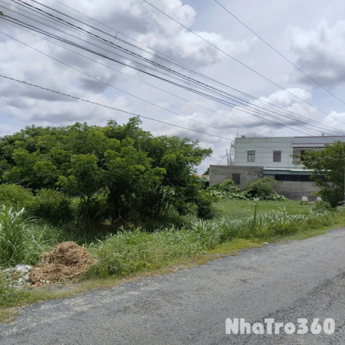 Giá Tốt: Cho Thuê Đất Ruộng 5.400m2 ( 60x90m) Mặt Tiền Huỳnh Châu Sổ, P.6, Tp.Tân An