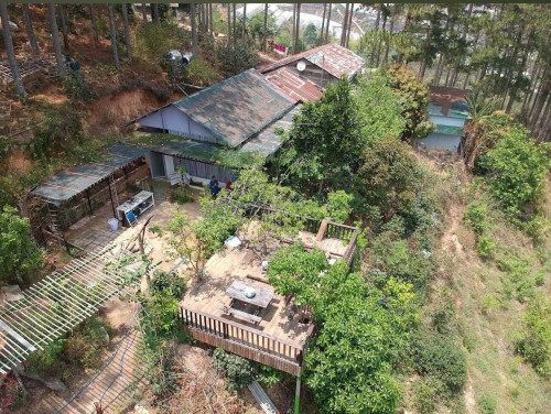 CHO THUÊ ĐẤT NÔNG NGHIỆP VIEW RỪNG THÔNG – P. CAM LY (P.5), ĐÀ LẠT