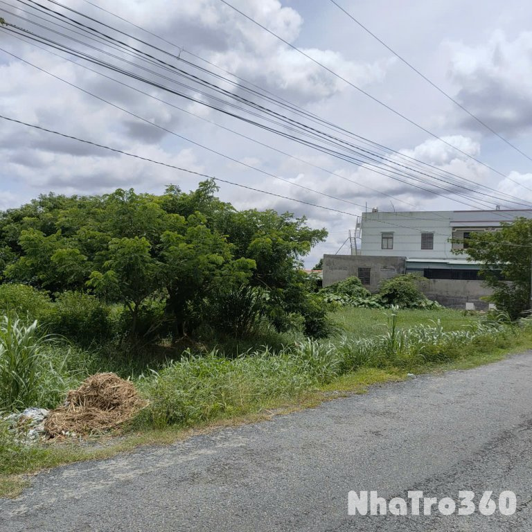 Giá Tốt: Cho Thuê Đất Ruộng 5.400m2 ( 60x90m) Mặt Tiền Huỳnh Châu Sổ, P.6, Tp.Tân An