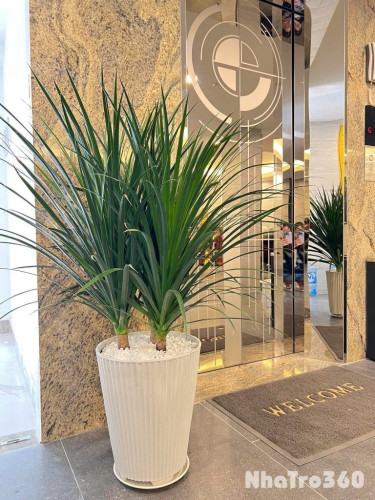 CHO THUÊ PHÒNG STUDIO FULL NỘI THẤT, MỚI, TÂN BÌNH