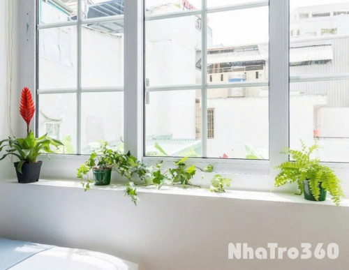 Cho thuê căn hộ Q1, đường Đề Thám, gần Chợ Bến Thành, Công Viên 23/9, Cầu Ông Lãnh