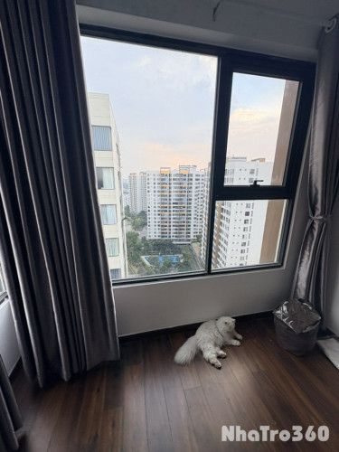 Cho thuê phòng phụ căn hộ Mizuki Park