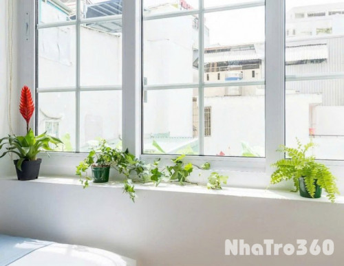 Cho thuê căn Studio - Đề Thám, Quận 1