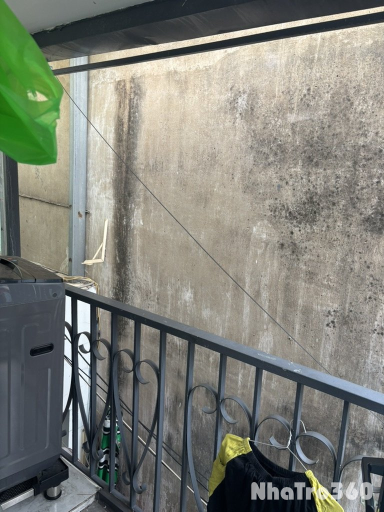 Chính chủ cho thuê nhà nguyên căn