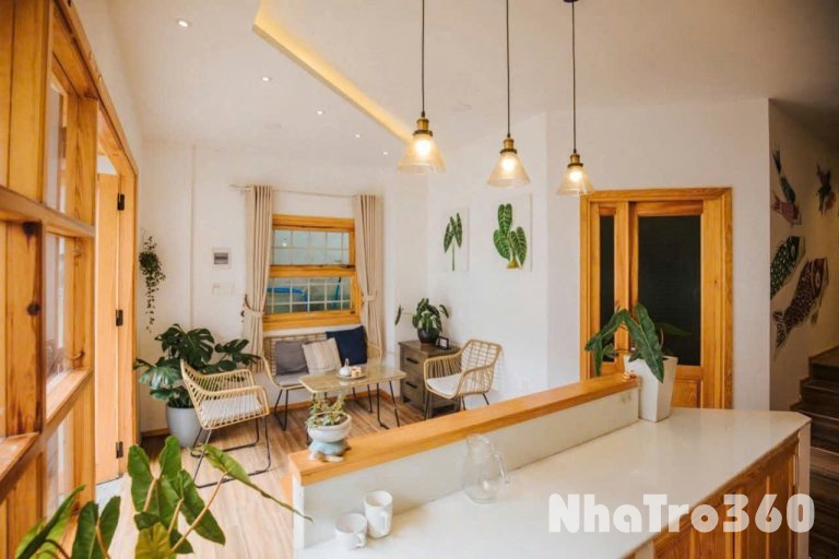 Cho thuê homestay Thông Thiên Học - Phường Xuân Hương, Đà Lạt