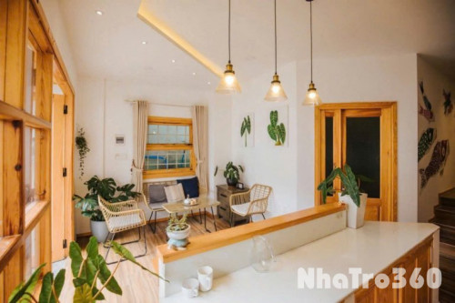 Cho thuê homestay Thông Thiên Học - Phường Xuân Hương, Đà Lạt