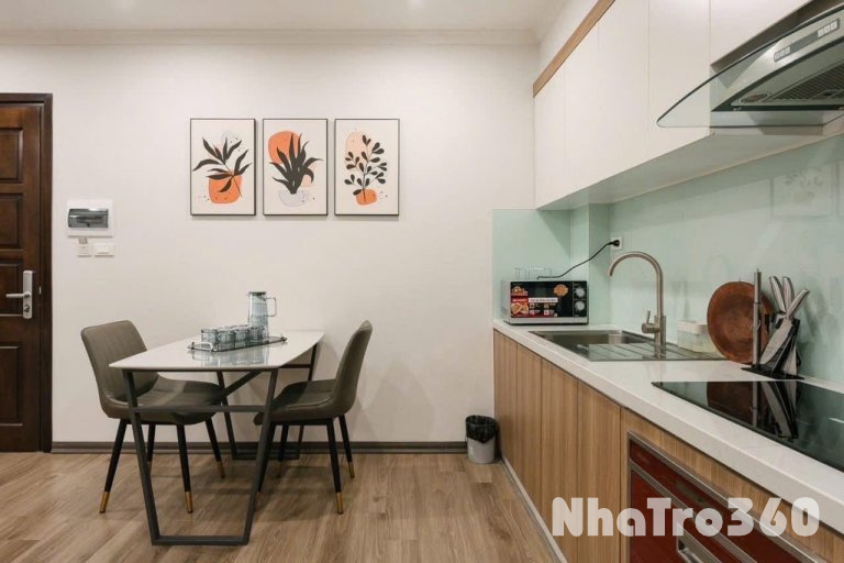 CĂN HỘ 1PN NGAY SÂN BAY TÂN SƠN NHẤT-TÂN BÌNH