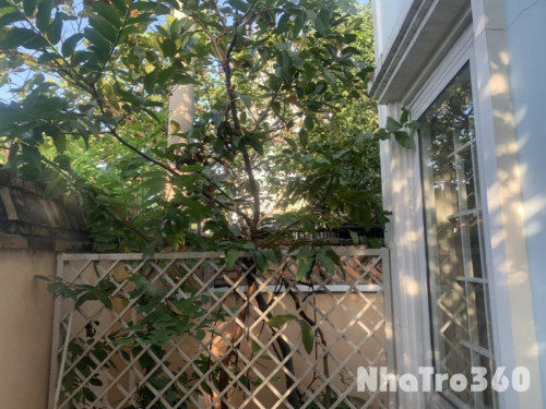 CHO THUÊ PHÒNG STUDIO view sân vườn