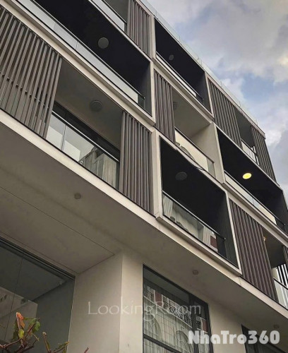 Căn Hộ 1PN Cho Thuê Tân Bình Ban Công Giáp Quận 10